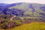 PICTURES/California Coastline, Fort Ross and a Little Wine/t_Coastline19.jpg